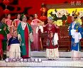 守岁大观园