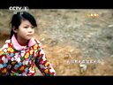 董卿大气致新春贺词