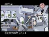 天涯共此时-动画版下载