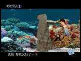 寻找新感觉-动画版