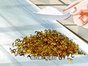 164 你得锻炼 第1回