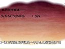 203 探地穴 第4回