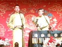 鸡上树