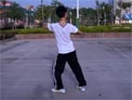 博白廖弟广场舞麦浪滚滚闪金光