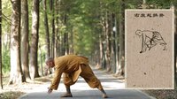 2014年少林寺易筋经-释演慧师父演练版（古本