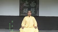 释延王-易筋经之少林·坐式八段锦 清晰版教