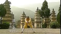 释延王演示-易筋经.洗髓经 上 清晰版 易筋