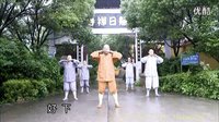 立式八段锦 释延祥 少林寺 易筋经 洗髓经 