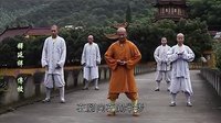 韦陀十二式 少林寺 释延祥 易筋经 洗髓经 