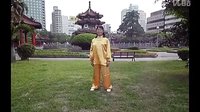 达摩易筋经《甩手功》