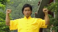 武术少林系列达摩易筋经03