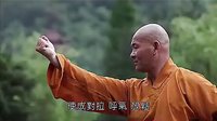 韦陀十二式 少林寺 释延祥 易筋经 洗髓经 