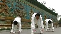 五禽戏八段锦易筋经气功视频教学（全套动作及