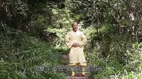 九衝操腹功 少林寺 易筋经 洗髓经 释延祥 