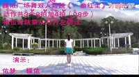 蝶依广场舞 双人对跳 一曲红尘