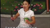 河南坠子马踏洛阳（第二部）2