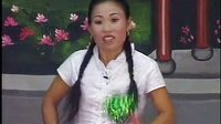 河南坠子小刘公（第二部）10（完）