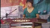 河南坠子马踏洛阳（第三部）1