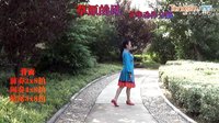 临盘立华广场舞《草原的风》星舞炫起来第二