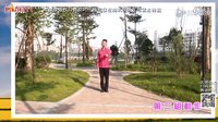 廖弟广场舞《那里的山那里的水》正反教