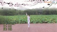 雁影纷飞