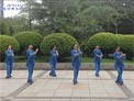 张春丽广场舞蓝玫瑰