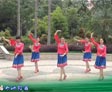 张春丽广场舞仙女湖