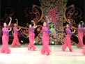 张春丽广场舞梨花情