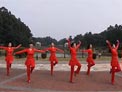 张春丽广场舞我爱唱情歌