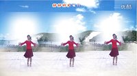 南阳和平广场舞系列 我好好的去爱你（个人版）