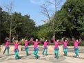 张春丽广场舞落花还有几分香