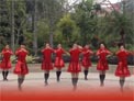 张春丽广场舞新年报道