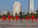 张春丽广场舞华丽丽的情歌为你唱