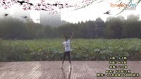 楠楠广场舞  有没有不受伤的爱情  正反面