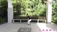 廖弟广场舞 花下舞剑