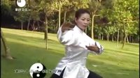 杨氏太极拳85式（全集）