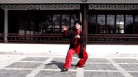 杨式85式太极拳