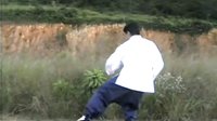 付清泉八十五式杨氏太极拳1