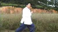 付清泉八十五式杨氏太极拳4