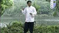 付清泉八十五式杨氏太极拳2