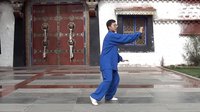 杨大卫讲解传统杨式太极拳85式---第16课海