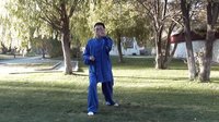 杨大卫讲解传统杨式太极拳八十五式-----第1