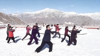 杨氏太极拳85式精简套路（30式）----2014年1月1