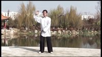 杨大卫讲解传统杨氏太极拳85式---第20课 云