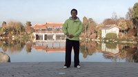 杨大卫讲解传统杨氏太极拳85式---第21课高