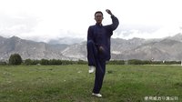 杨大卫讲解传统杨式太极拳85式--第22课左右