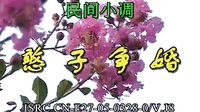 民间小调憨子争婚：全集