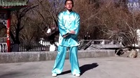 大卫讲解传统杨式太极拳85式---第11课十字