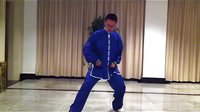 杨大卫讲解传统杨式太极拳85式---第12课抱