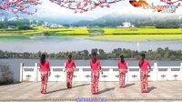 春英广场舞美丽村庄  正反教